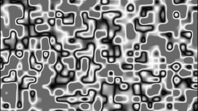 Organic shapes animation blends black and white glowing contour lines. Abstract fluid monochrome curves move across these organic shapes. Modern artistic visual depth defines the organic shapes.