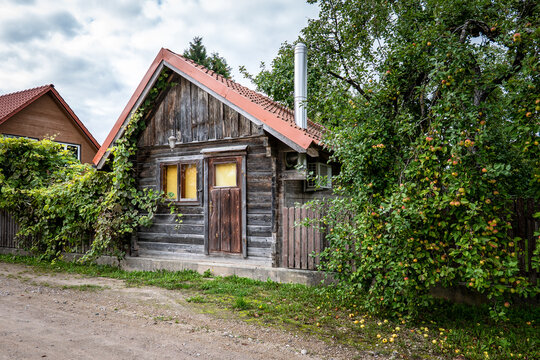 Traditional Timber Cabin Surrounded by Fruitful Apple Trees in a Rural Garden