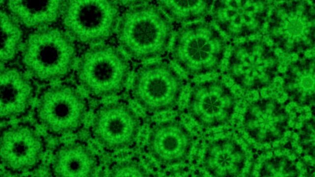 Geometric patterns animation pulses in green kaleidoscopic symmetry. Intricate botanical mandala graphics form the geometric patterns. Hypnotic abstract visual art animates the geometric patterns.