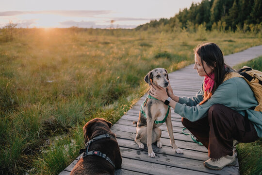 Woman gently caring for her dog beside a second pet on a wooden boardwalk in nature, showing human-animal bond, companionship, pet care and responsible ownership.