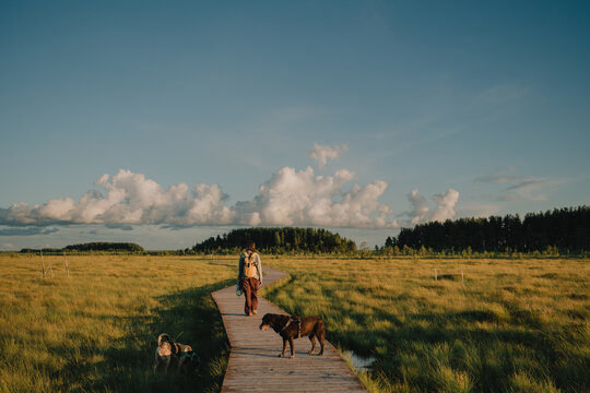 Woman walking with two dogs along a wooden boardwalk through open wetlands at golden hour, illustrating pet-friendly travel, outdoor recreation, companionship and shared journey.