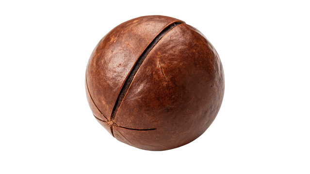 Whole natural raw macadamia nut in shell isolated on transparent background.