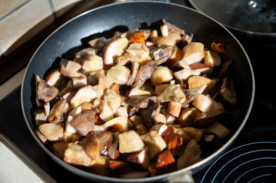 Mixed wild mushrooms frying in a pan without pre-boiling, including porcini, orange-capped boletes and slippery jacks. Homemade cooking, seasonal harvest and natural food.