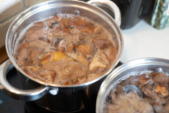 Mixed wild mushrooms boiling in a pot, including porcini, orange-capped boletes and slippery jacks. Mushroom cooking, seasonal harvest, homemade food and natural ingredients.
