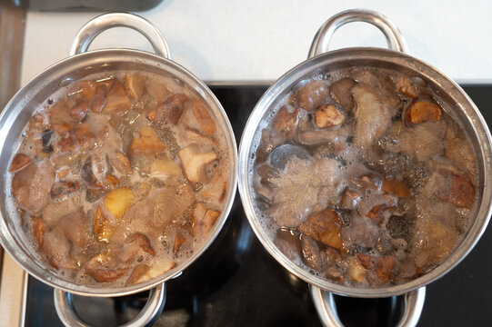 Mixed wild mushrooms boiling in a pot, including porcini, orange-capped boletes and slippery jacks. Mushroom cooking, seasonal harvest, homemade food and natural ingredients.