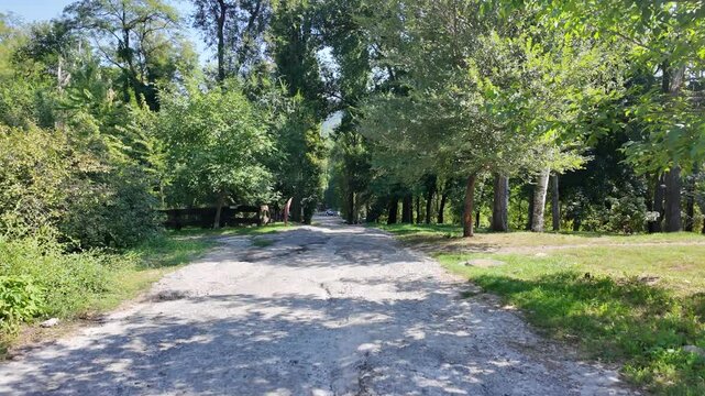 An old road with worn asphalt and potholes, descending through a shady green park with tall trees and a wooden fence on a sunny day.