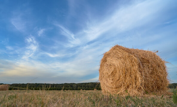 compressed hay bale set against the backdrop of a field and an autumn evening sky; seasonal farm work; copy space for themes of livestock fodder harvesting
