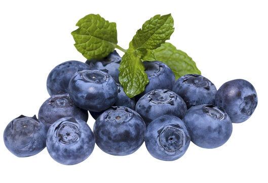  blue barries  Blue forest berry macro studio shot. Beautiful bluberry closeup for packaging design. Whole single billberry close up. Healthy organic food bilberry ingredient