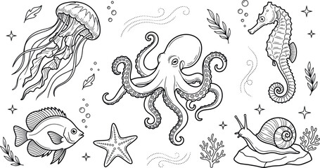 Marine life underwater sea animals collection pack with octopus jellyfish seahorse starfish fish snail vector line art doodle © MST