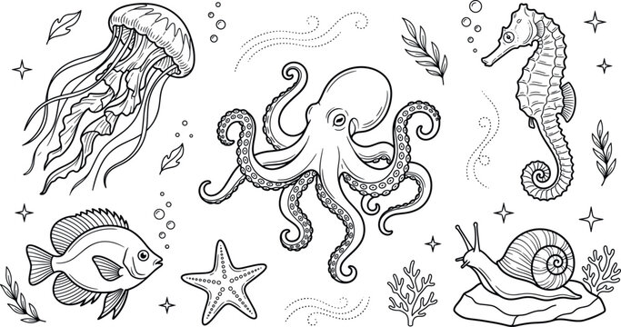 Marine life underwater sea animals collection pack with octopus jellyfish seahorse starfish fish snail vector line art doodle