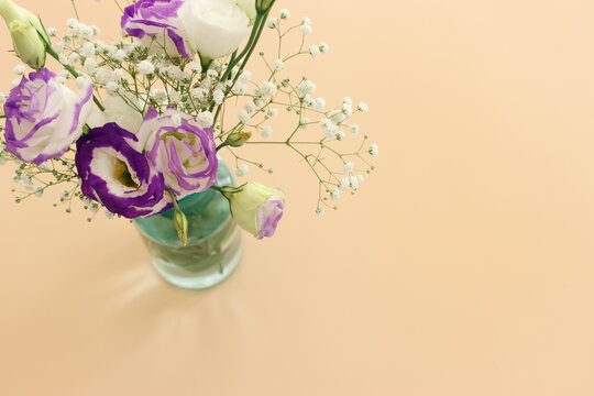 Top view image of romantic and delicate flowers on pastel background