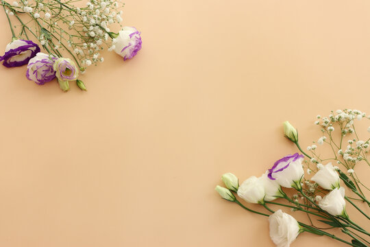 Top view image of romantic and delicate flowers on pastel background
