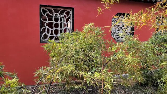 The bamboo plants grown in Xian Tong Temple. Also known as Xiangshan Temple, it was founded during the Western Jin Dynasty. Located in Huainan City, Anhui Province, China.
