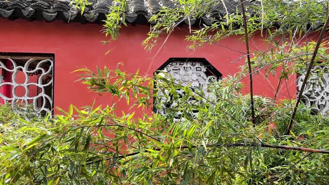 The bamboo plants grown in Xian Tong Temple. Also known as Xiangshan Temple, it was founded during the Western Jin Dynasty. Located in Huainan City, Anhui Province, China.

