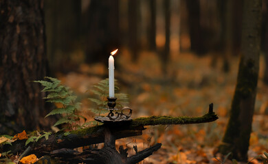 candlestick with burning wax candle in autumn forest, dark abstract nature background. mystery fairy tale scene. witchcraft, magic ritual. Fall season. Samhain, Halloween holidays concept © Ju_see
