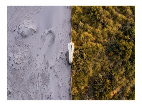 Wetland boundary aerial view of mud and grass textures