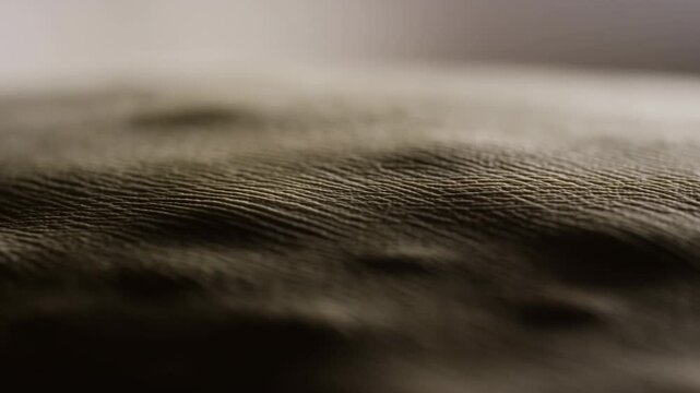 Fine animal fur moves subtly in an extreme macro close-up with shallow focus. Wildlife documentaries, animal biology education, and zoology research materials.