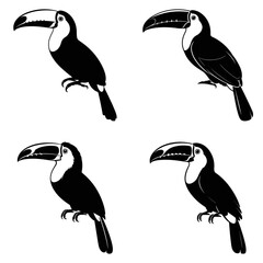 Fototapeta premium Toucan silhouettes showcase distinct perching poses against a white background silhouette
