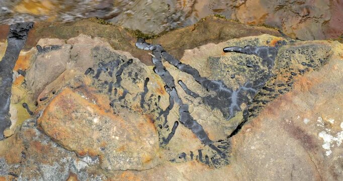 Natural pitch oozing out of a rock beside an Amazonian river. The rocks are part of the oil bearing Hollin Geological formation which supplies Ecuador's Amazonian oil fields. Napo Province, Ecuador.
