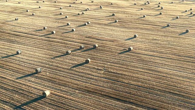 Aerial drone footage of a harvested field in Gliwice, Poland, covered with round hay bales casting long shadows in warm sunlight.