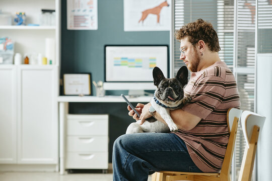 Young adult Caucasian man holding French bulldog while using smartphone in veterinary clinic waiting room. Image suitable for pet healthcare app marketing and veterinary service promotions