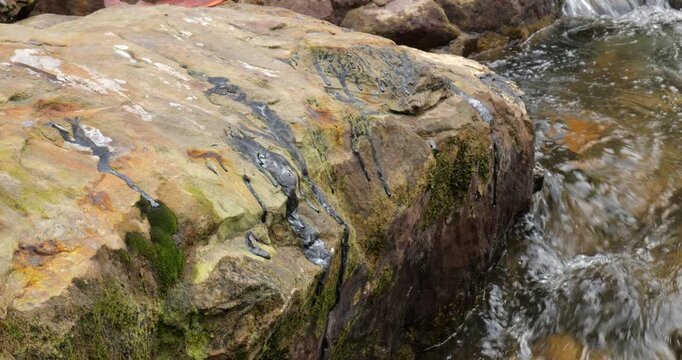 Natural pitch oozing out of a rock beside an Amazonian river. The rocks are part of the oil bearing Hollin Geological formation which supplies Ecuador's Amazonian oil fields. Napo Province, Ecuador.