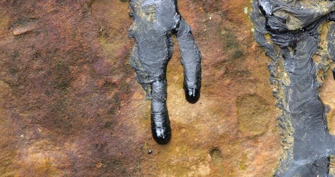 Natural pitch oozing out of a rock beside an Amazonian river. The rocks are part of the oil bearing Hollin Geological formation which supplies Ecuador's Amazonian oil fields. Napo Province, Ecuador.