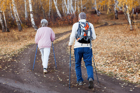 Senior couple nordic walking with poles in autumn park. Elderly man with backpack and woman hiking on leaf-covered path among birch trees.