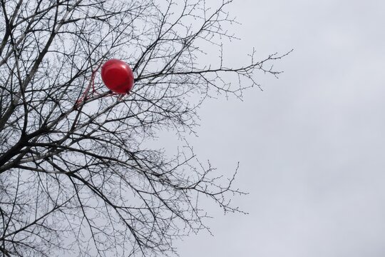 Red balloon caught in the bare branches of a winter tree