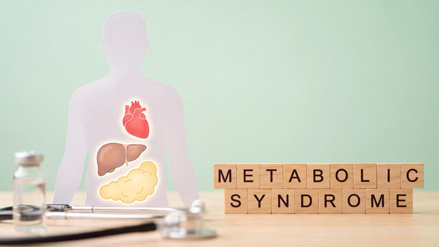 Metabolic syndrome body diagram with heart liver and pancreas for chronic disease risk awareness education