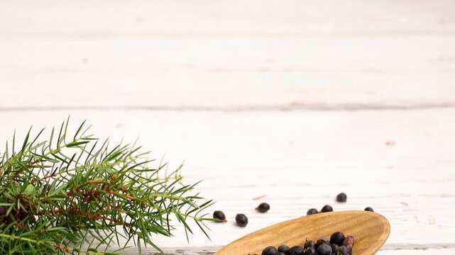 Juniper latin Juniperus communis berries on a wooden spoon, juniper tree branch with confier cones and berries scattered around, copy space. White wood board background.