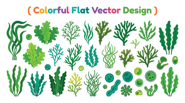 Assorted seaweed and algae vector illustration with vibrant green and teal tones