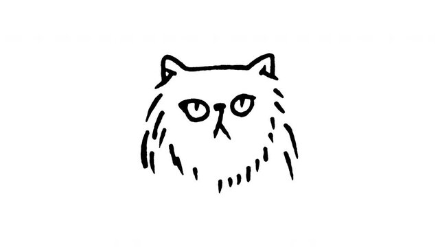 Animated doodle icon of a fluffy Longhair Ragdoll cat face with striking blue eyes.