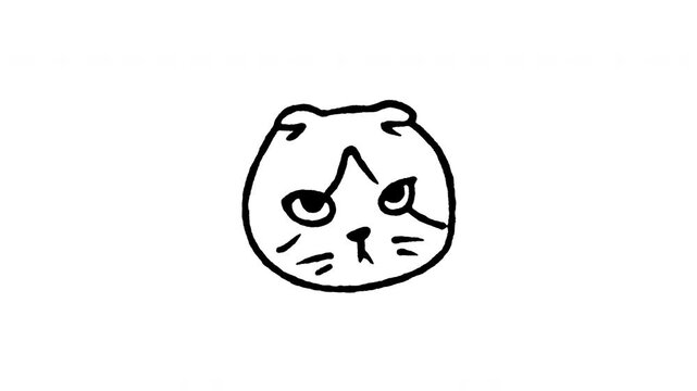 Animated doodle icon of a Scottish Fold cat face with unique folded ears.
