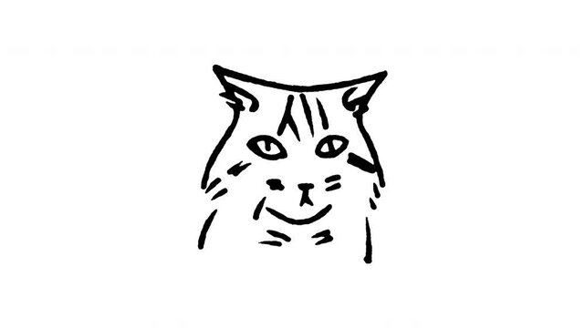 Animated doodle icon of a Persian Longhair cat face with a flat profile and a grumpy look.