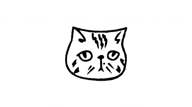 Animated doodle icon of an Exotic Shorthair cat face with a flat squished look.