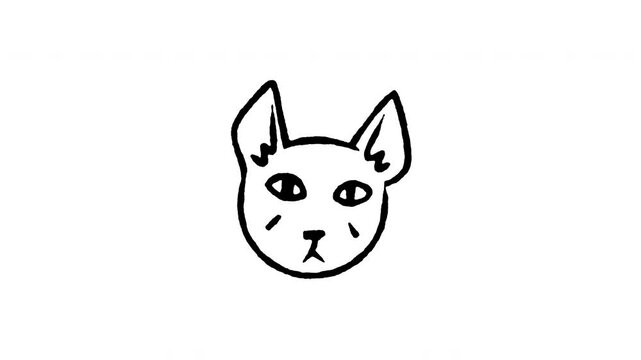 Animated doodle icon of a scruffy alley cat face with scars and a tough look.
