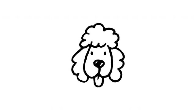 Animated doodle icon of a curly Poodle dog face with fancy groomed haircut.