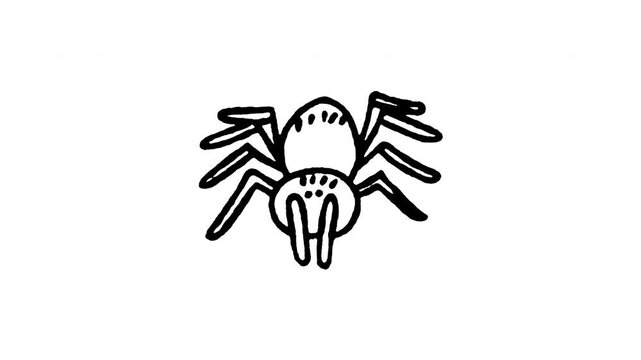 Animated doodle icon of a hairy tarantula spider arachnid crawling.