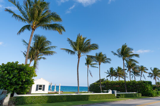Tropical beachfront villa with palm tree and ocean beach. Waterfront villa house. Vacation villa in summer. Luxury waterfront house. Palm tree at waterfront area at beach