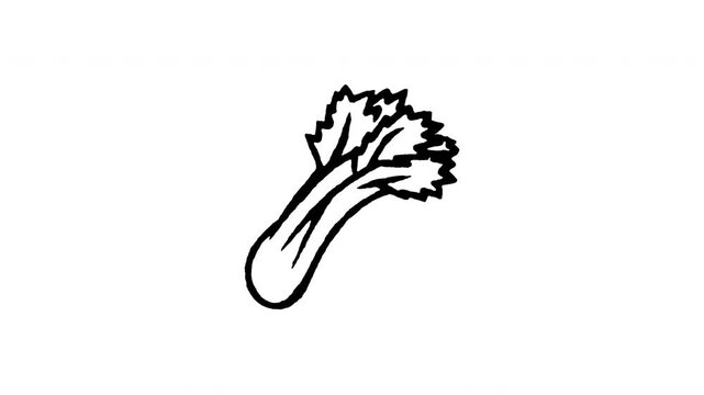 Animated doodle icon of a crisp green celery stalk for healthy snacks and juices.