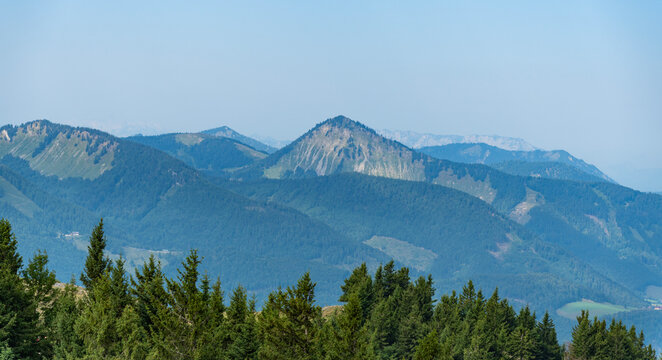 Forest nature with mount. Nature in mountain countryside. Scenery landscape of mountain. Scenery coniferous forest. Pine tree and mountain landscape with forest. Mountain landscape and adventure