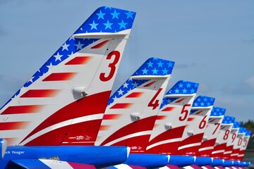 Obraz premium Patrouille de France avions alignés vue arrière horizontal