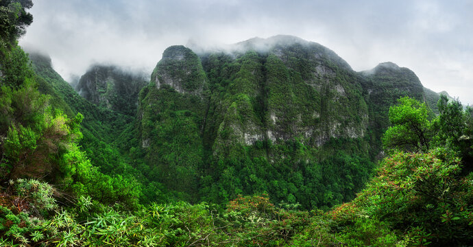 Panoramic views of green jungle mountains landscape in Madeira, Portugal