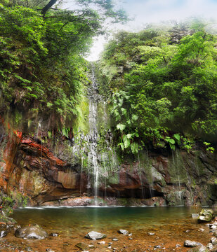 Waterfall in rainforest, Tropical jungle in Madeira island, Portugal