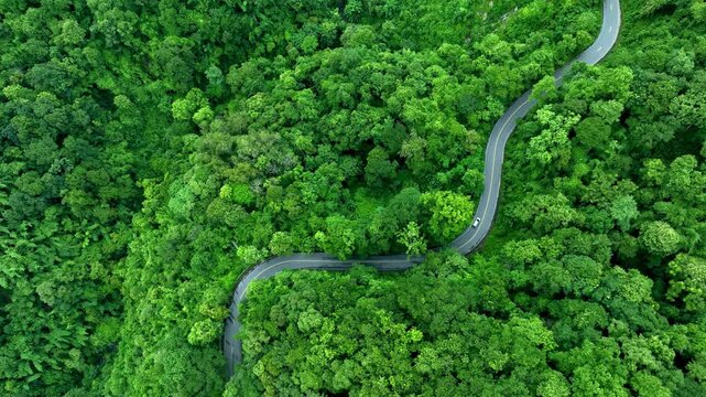 Aerial view of a winding forest road surrounded by dense tropical trees, representing ESG leadership, Sustainability Report, Annual Report, Green Finance, Net Zero Strategy, Carbon Credit initiatives