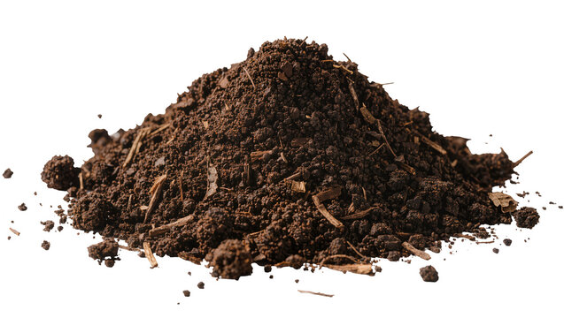 Rich dark composted soil with organic matter, isolated on transparent background