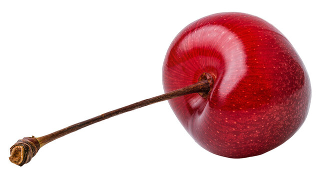 Glossy ripe red cherry with a thin brown stem, isolated on transparent background