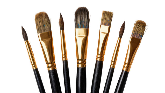 Assorted artist paint brushes with black handles and gold ferrules, isolated on transparent background