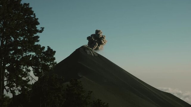 Spectacular wide shot captures Fuego volcano erupting at dawn, seen from Acatenango hike. Volcanic ash plume rises into a clear sky, with rugged slopes and silhouette trees in soft morning light.